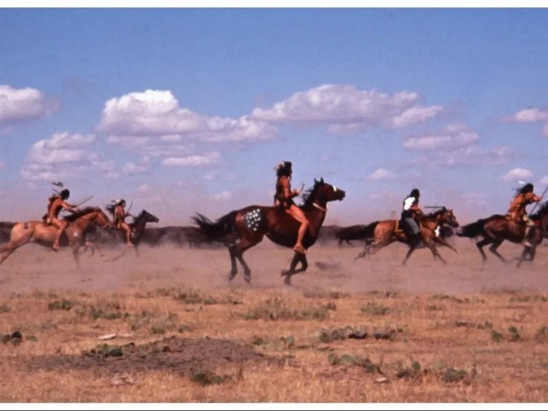 بعد 36 عامًا.. فيلم Dances With Wolves يعود للشاشة من خلال نسخة مرممة جديدة تُعرض في مهرجان لوكارنو