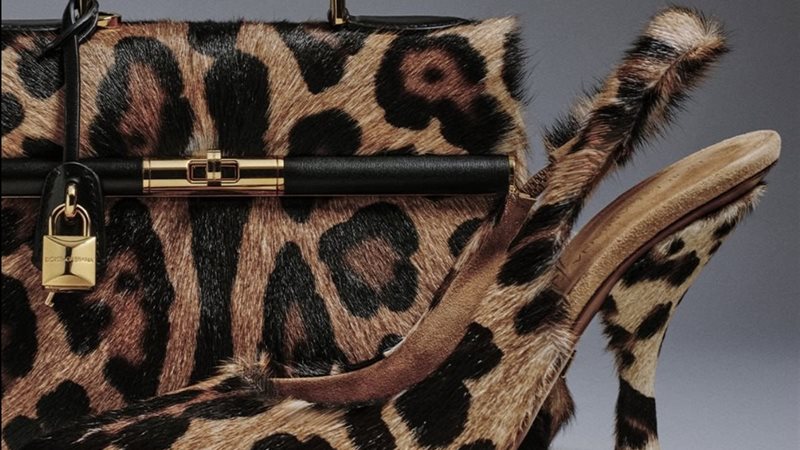 Dolce & gabbana 
