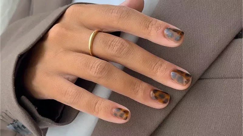  نقوش السلحفاة 
