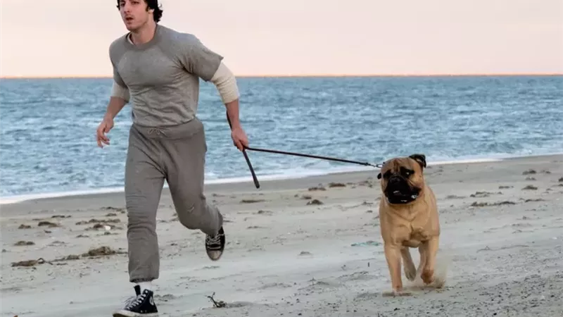 فيلم I Play Rocky