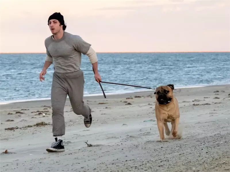فيلم I Play Rocky
